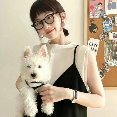 春夏秋冬又一春 海报
