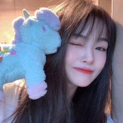 聪明的鸭子 海报
